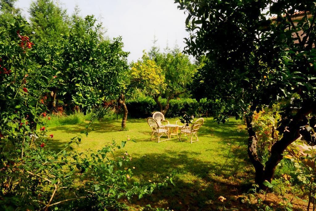 Residenza La Vigna Aparthotel Parghelia Εξωτερικό φωτογραφία