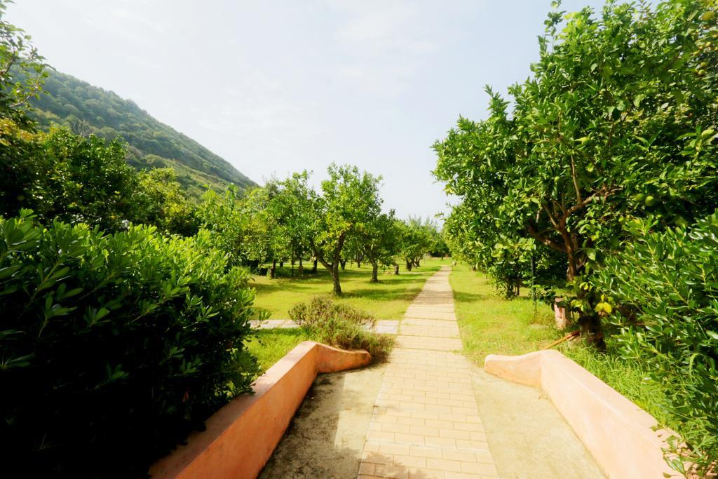 Residenza La Vigna Aparthotel Parghelia Εξωτερικό φωτογραφία