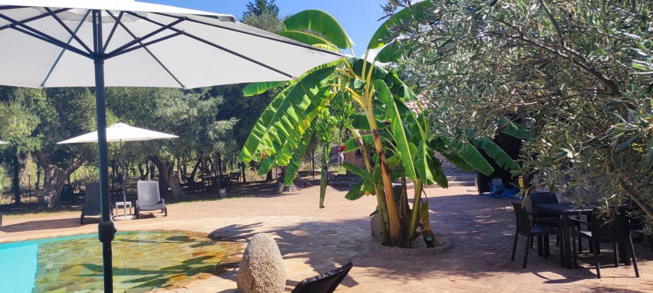 Residenza La Vigna Aparthotel Parghelia Εξωτερικό φωτογραφία