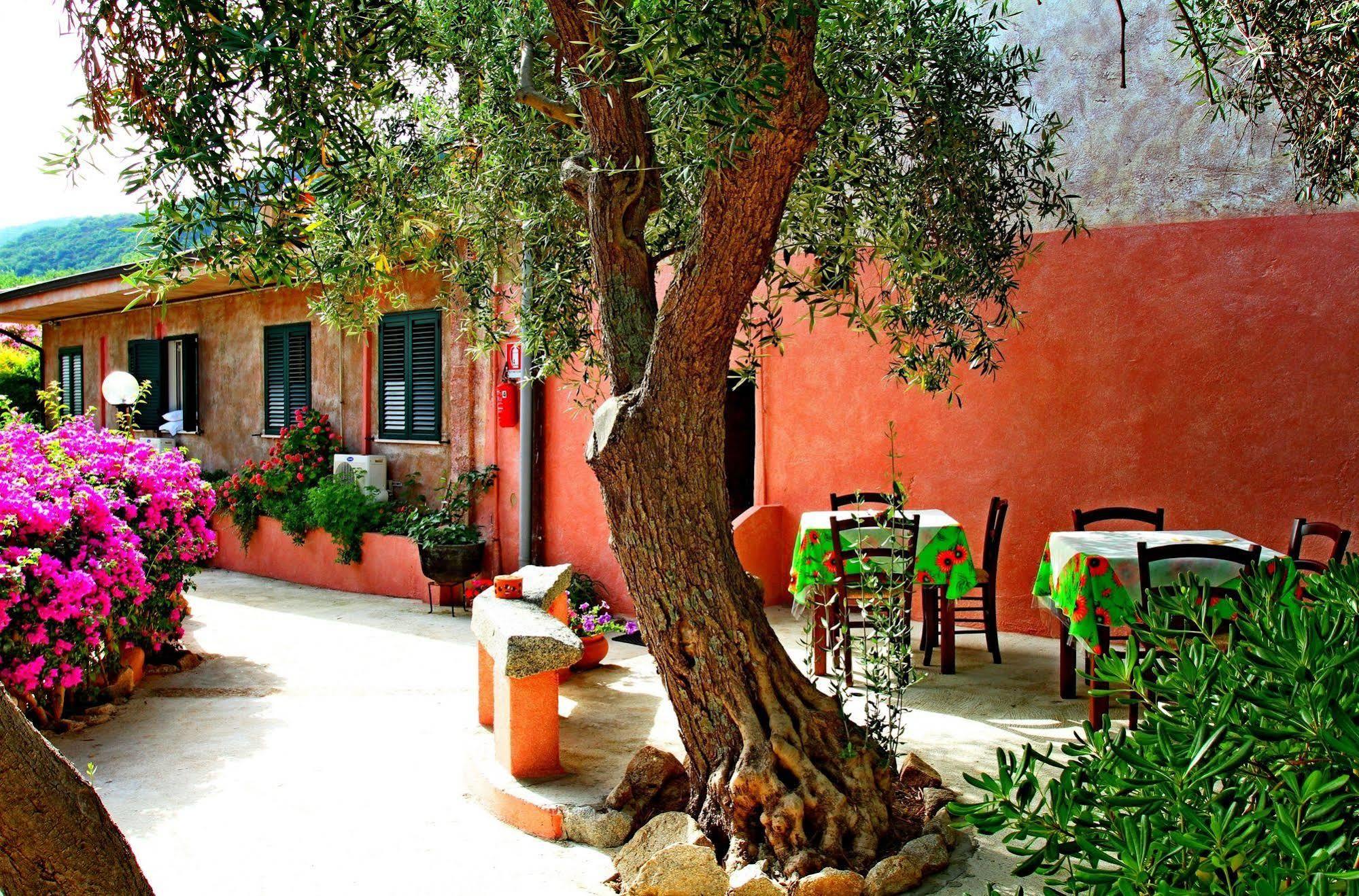 Residenza La Vigna Aparthotel Parghelia Εξωτερικό φωτογραφία